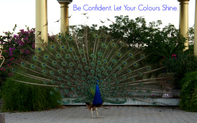 Be Confident. Let Your Colours Shine.