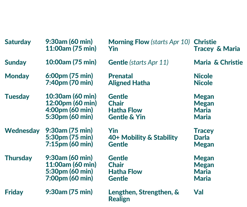Schedule (2)