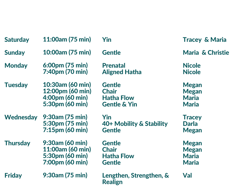 Schedule (3)