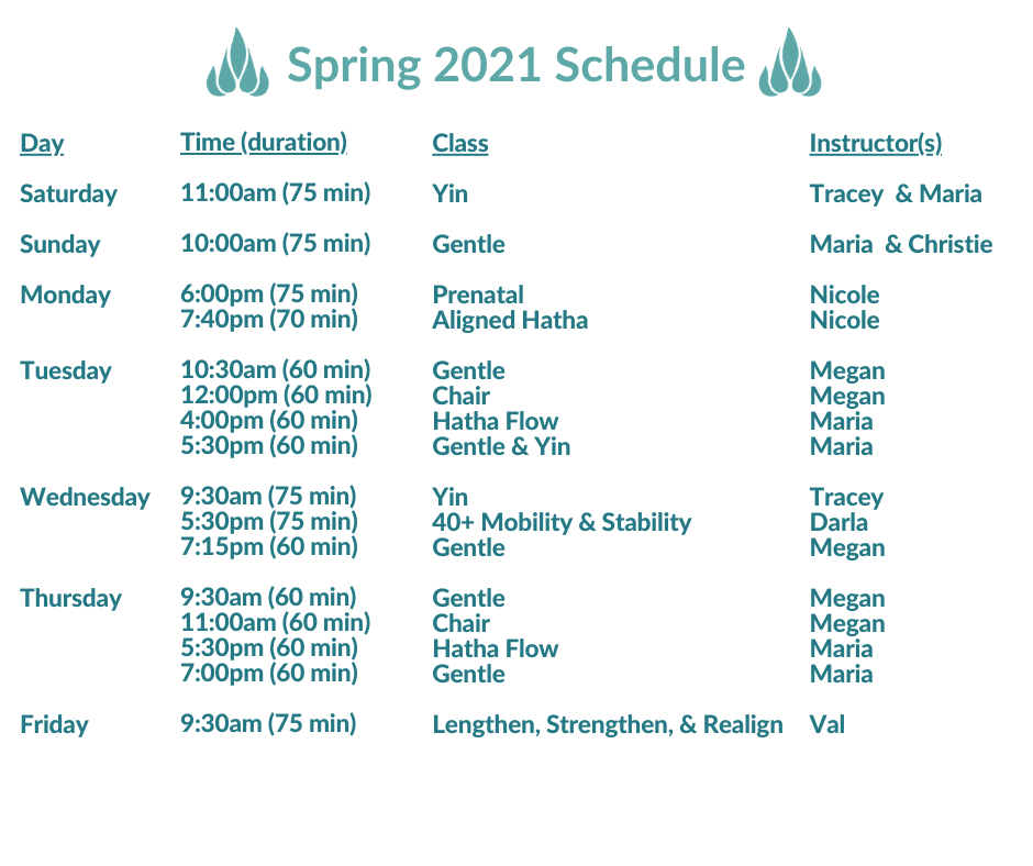 Schedule (6)