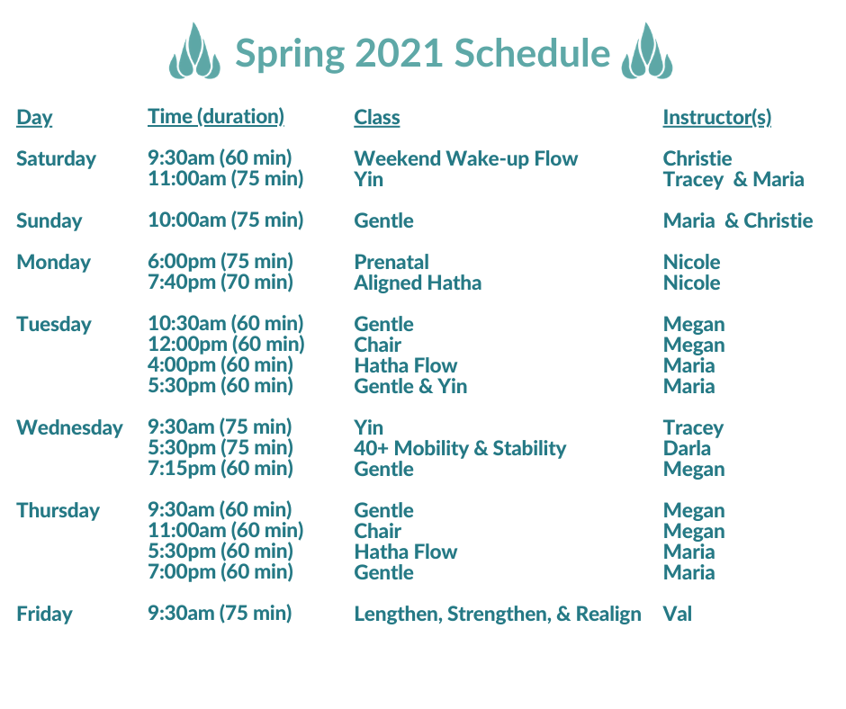 Schedule (8)