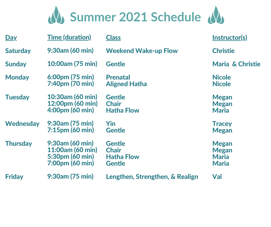 Schedule (13)