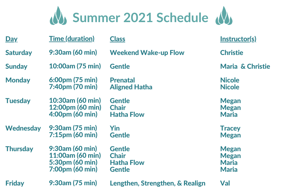 Schedule (13)